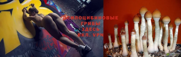 гидра Зеленокумск