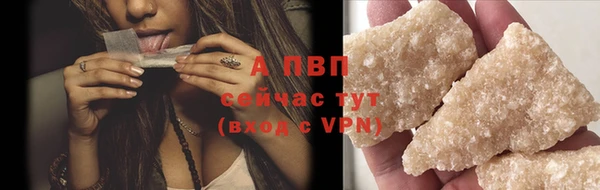 гидра Зеленокумск