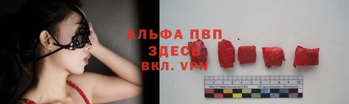гидра Зеленокумск