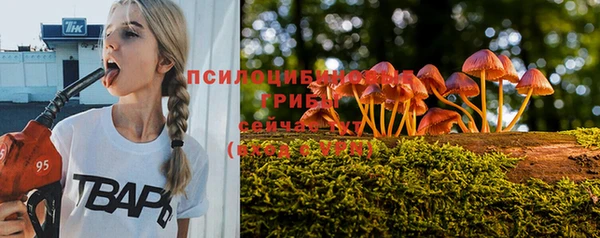 гидра Зерноград
