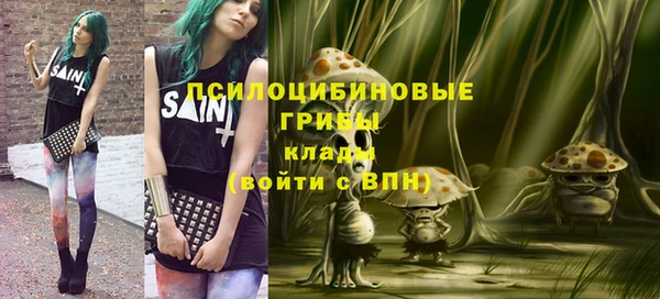 гидра Зеленокумск