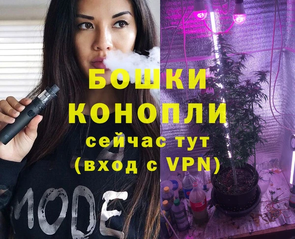 гидра Зеленокумск