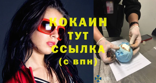 гидра Зеленокумск