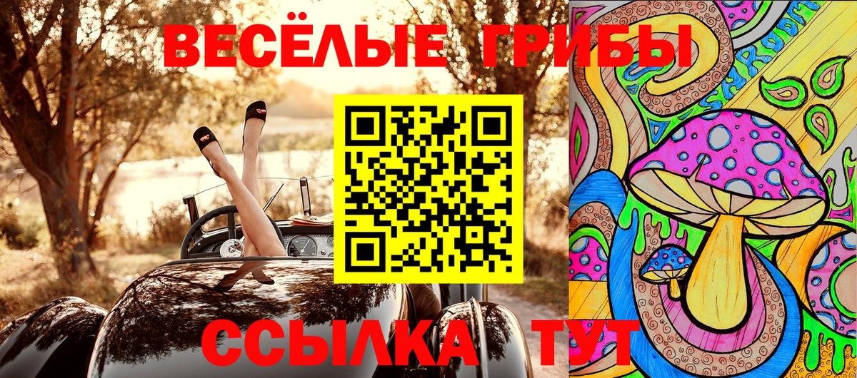 Псилоцибиновые грибы Magic Shrooms Карасук