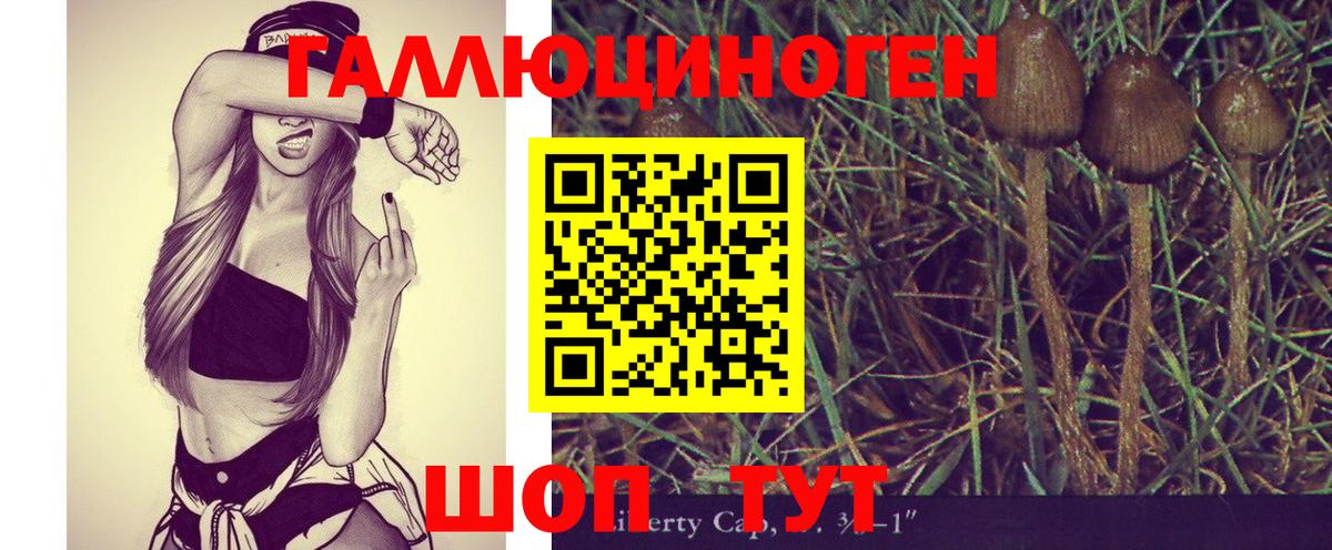 Карасук  Галлюциногенные грибы Psilocybe  Вход с VPN 